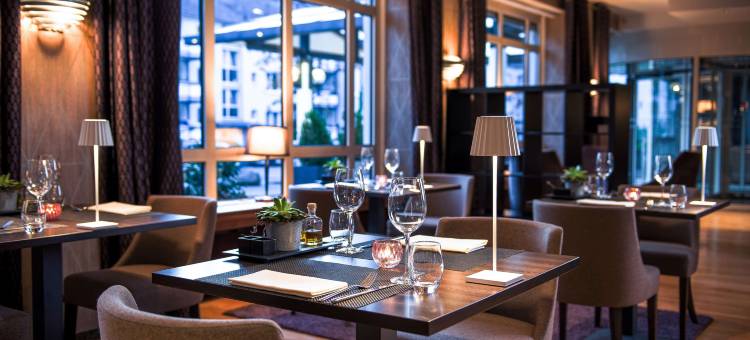 波恩多林特酒店(Dorint Hotel Bonn)图片