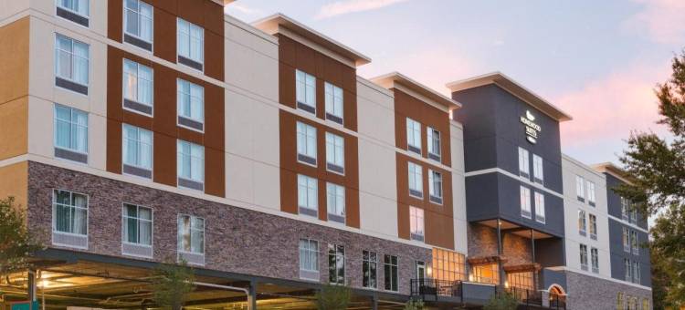 Homewood Suites by Hilton-亚特兰大/周界中心(Homewood Suites by Hilton Atlanta/Perimeter Center)图片