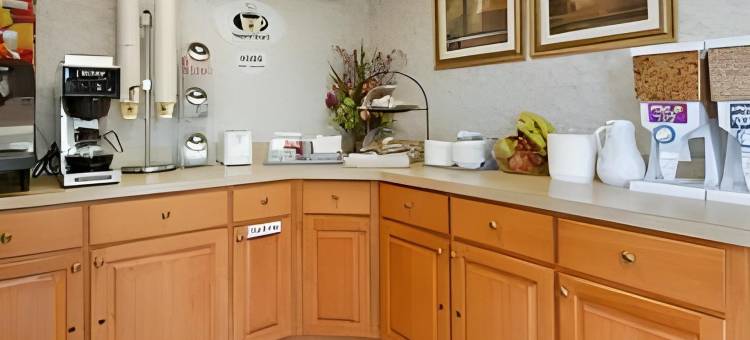 伯灵顿速8酒店(Super 8 by Wyndham Burlington NC)图片