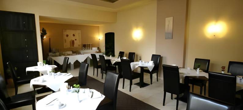 法尔克奥格斯堡高德纳酒店(Hotel Augsburg Goldener Falke)图片