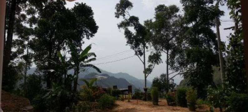 哇民宿(Wow Home Stay)图片