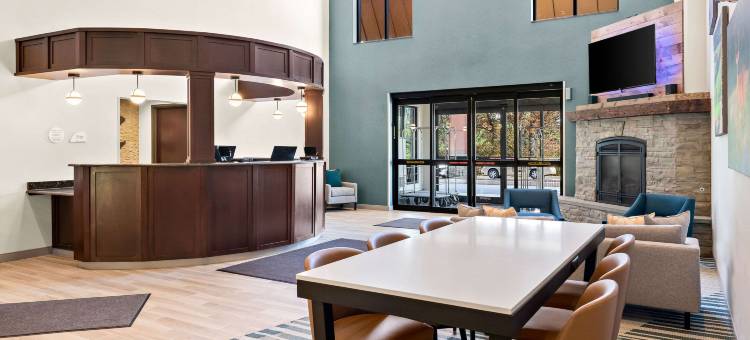 舒适套房酒店(Comfort Inn & Suites)图片