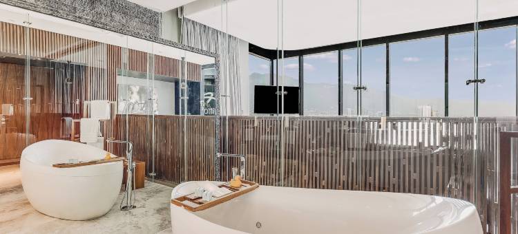 蒙特雷活力之蓝城市度假村(Live Aqua Monterrey)图片