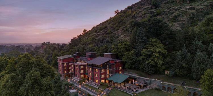 金色郁金香斯里纳格(Golden Tulip Srinagar)图片