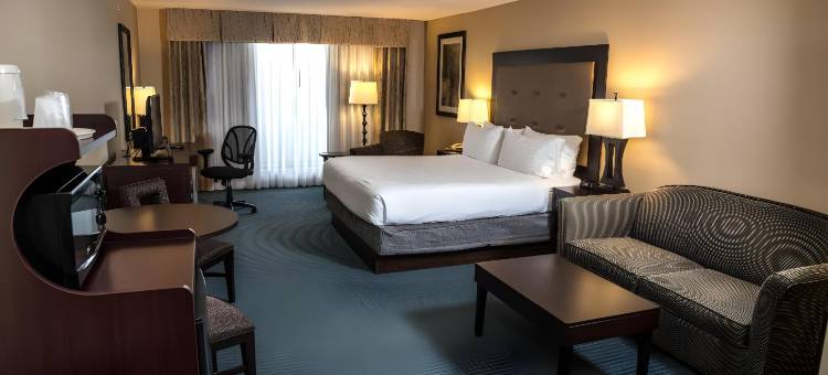 智选假日套房酒店底特律 - 诺维(Holiday Inn Express & Suites Detroit-Novi)图片
