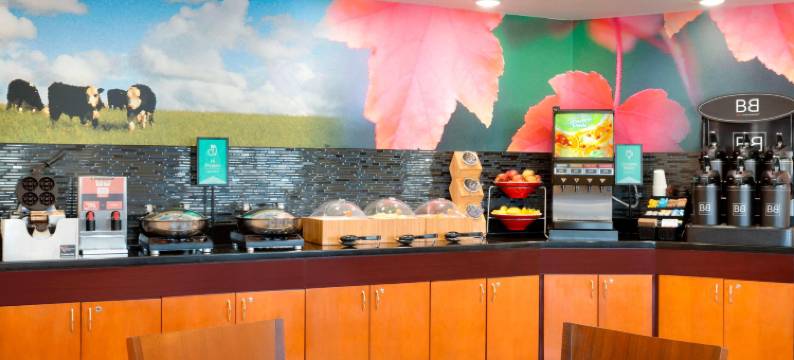 沃斯堡大学路万豪万枫酒店(Fairfield Inn & Suites Fort Worth University Drive)图片