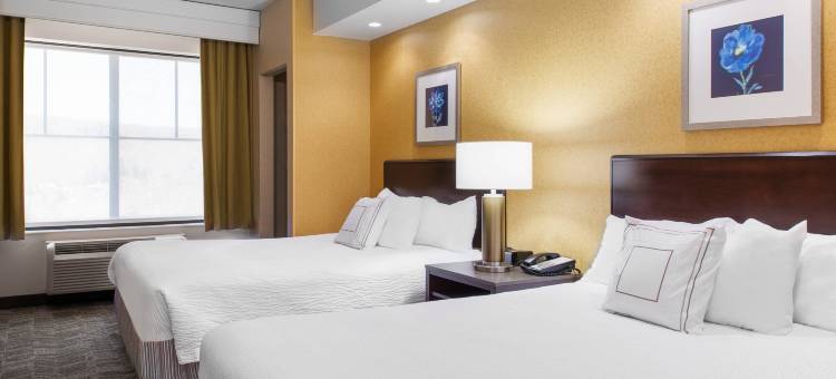 惠灵特瑞阿德尔福亚地区万豪SpringHill酒店(SpringHill Suites Wheeling Triadelphia Area)图片