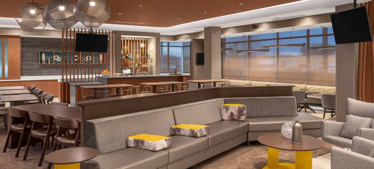 杰克逊万豪SpringHill Suites酒店(SpringHill Suites Jackson)图片