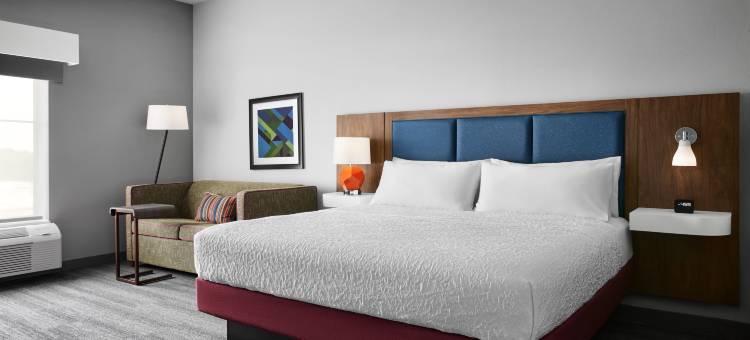 夏洛特斯蒂勒溪希尔顿欢朋套房酒店(Hampton Inn & Suites Charlotte Steele Creek)图片