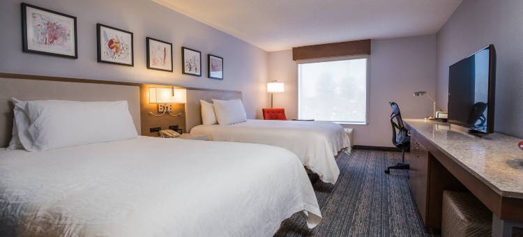 亚特兰大玛丽埃塔希尔顿花园酒店(Hilton Garden Inn Atlanta Marietta)图片