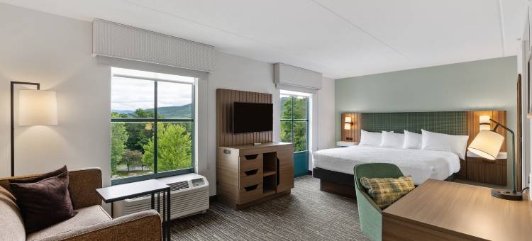 希尔顿欢朋套房酒店-乔治湖(Hampton Inn & Suites Lake George)图片