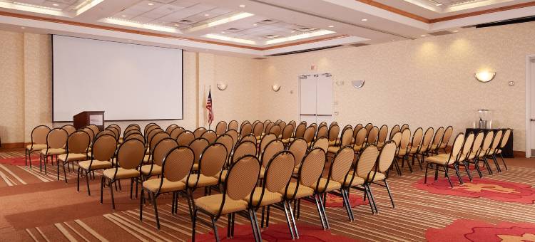 希尔顿花园酒店-亚特兰大机场千年中心(Hilton Garden Inn Atlanta Airport/Millennium Center)图片