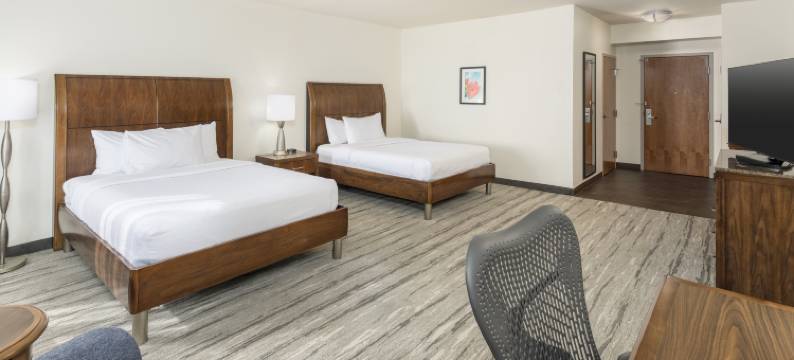 博卡－拉顿希尔顿花园酒店(Hilton Garden Inn Boca Raton)图片