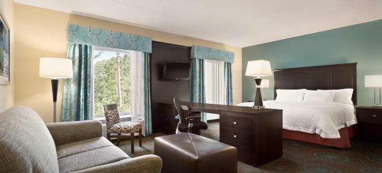 布拉夫顿太阳城欢朋套房酒店(Hampton Inn & Suites Bluffton-Sun City)图片