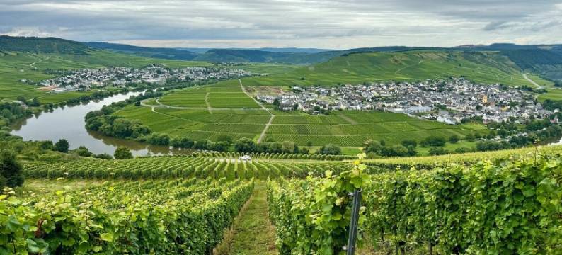 Fewo am Nussbach - Nature Park Südeifel-Teufelsschlucht-Eifel-Mosel图片