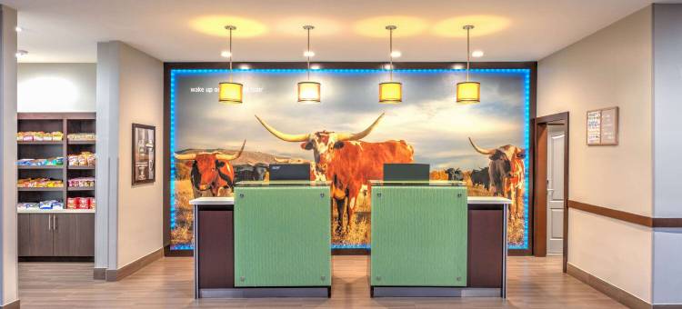 泰勒大学区拉昆塔温德姆套房酒店(La Quinta Inn & Suites by Wyndham Tyler - University Area)图片