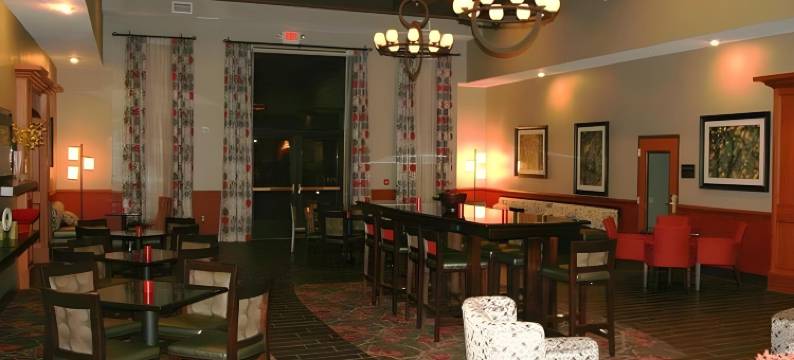 兰辛东欢朋酒店及套房(Hampton Inn & Suites East Lansing/Okemos)图片