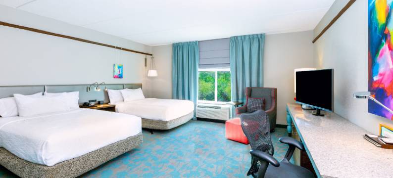 阿什维尔市区希尔顿花园酒店(Hilton Garden Inn Asheville Downtown)图片