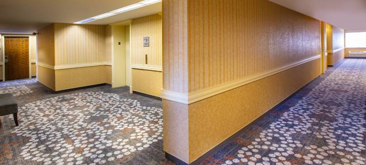 希尔顿芝加哥/诺斯布鲁克酒店(Hilton Chicago/Northbrook)图片