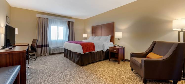 康福特酒店及套房密歇根城南部(Comfort Inn & Suites Michigan City South)图片