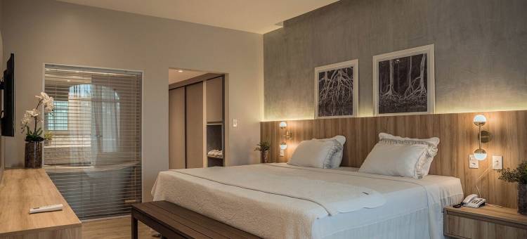 圣路易斯高级蓝树(Blue Tree Premium São Luis)图片