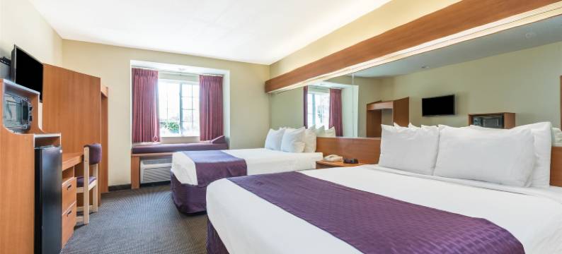 温德姆奥本恩的麦客达酒店(Microtel Inn & Suites by Wyndham Auburn)图片