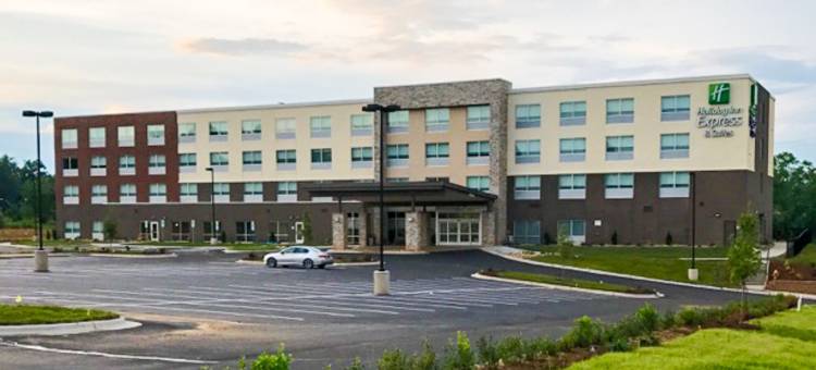 智选假日套房酒店-夏洛特东北/大学城(Holiday Inn Express & Suites Charlotte NE - University Area)图片