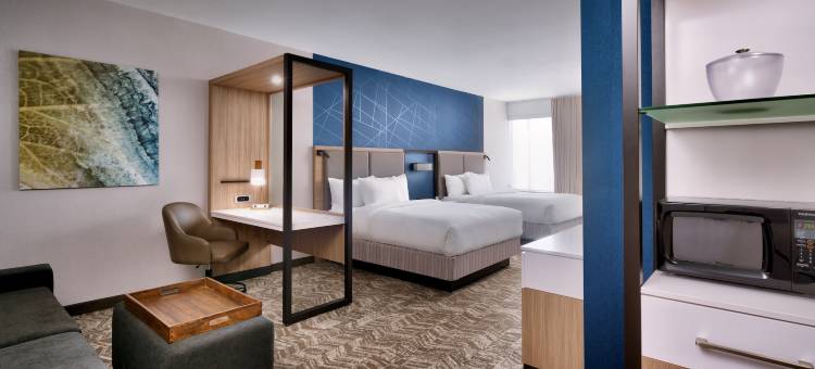 埃尔帕索机场SpringHill Suites酒店(SpringHill Suites El Paso Airport)图片