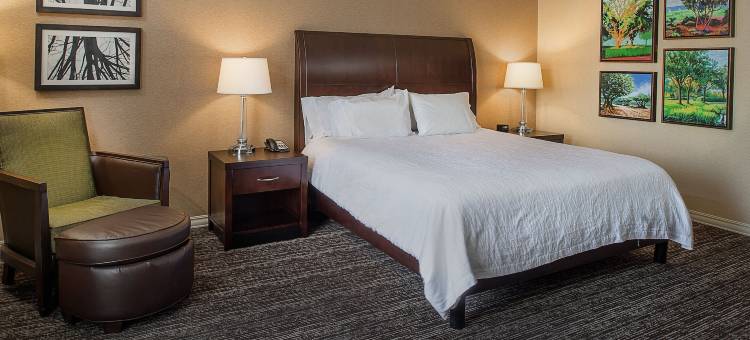 圣路易斯机场希尔顿花园酒店(Hilton Garden Inn St. Louis Airport)图片