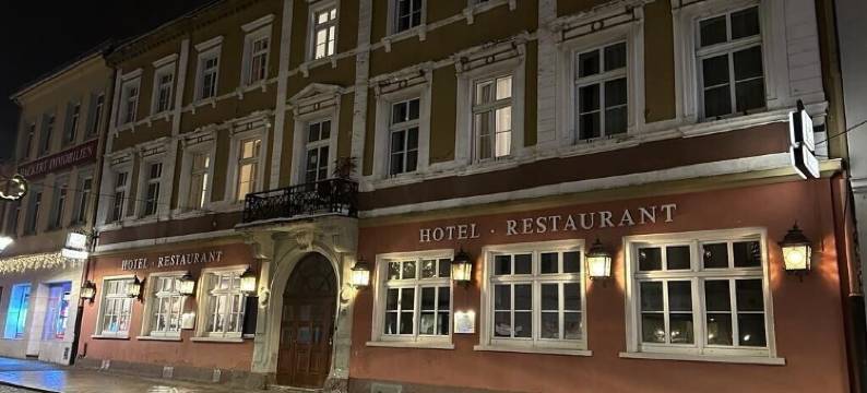 萨克森霍夫-雷萨酒店(Hotel Sachsenhof Riesa)图片