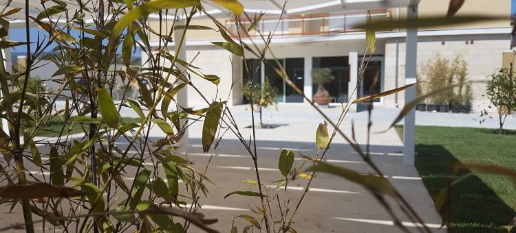 内特图姆酒店(Netum Hotel)图片