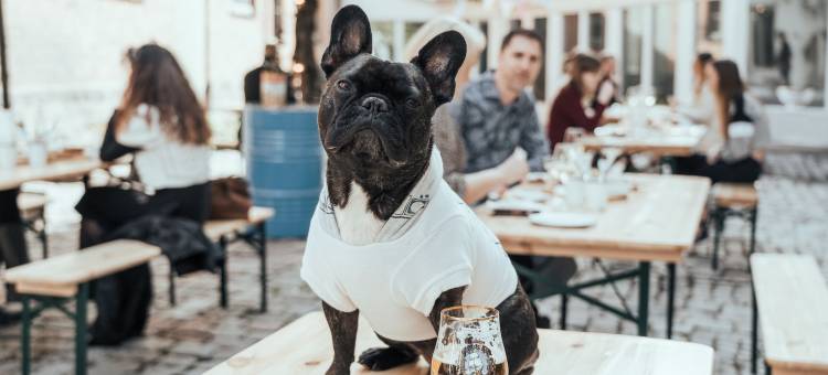 乌普萨拉植物酒店(Botanika Uppsala)图片