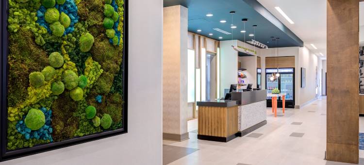 希尔顿惠庭套房酒店 史密斯菲尔德塞尔马(Home2 Suites by Hilton Smithfield Selma)图片