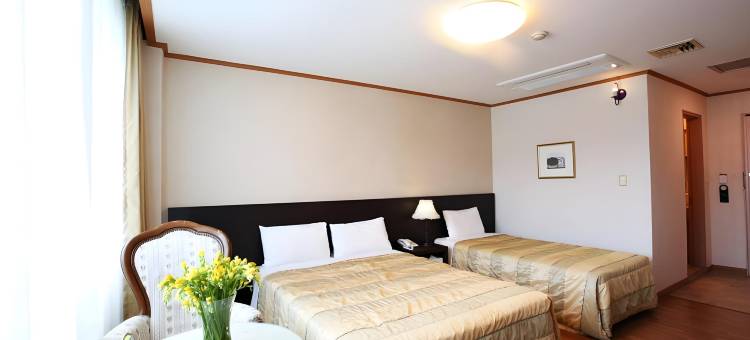 雪绒花丹阳观光酒店(Danyang Tourist Hotel Edelweiss)图片
