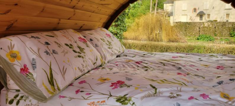 Small cosy Bluebell cabin in the French countryside图片