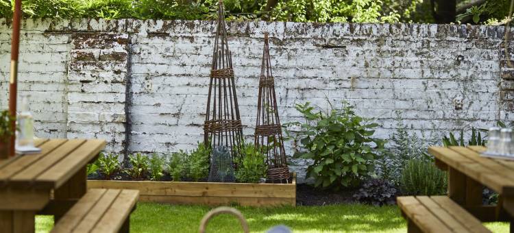 Lime Tree by Room Mate Hotels图片