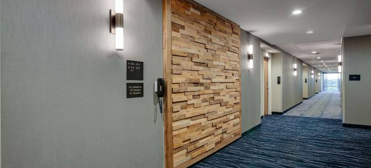 巴兹敦万豪万枫套房酒店(Fairfield Inn & Suites Bardstown)图片