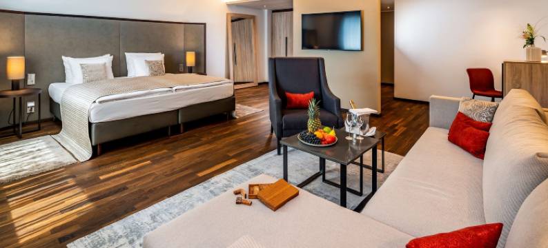 特里尔丽亭酒店(Park Plaza Trier, Germany)图片