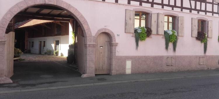 比什维尔科尔马(Coté Cour Bischwihr Colmar)图片