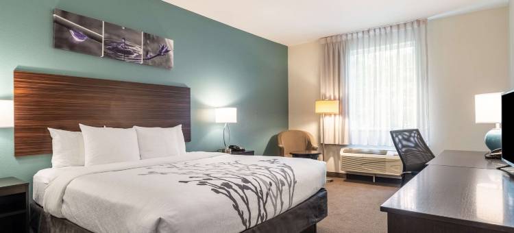 舒眠套房酒店-肯纳瑟州立大学(Sleep Inn & Suites at Kennesaw State University)图片
