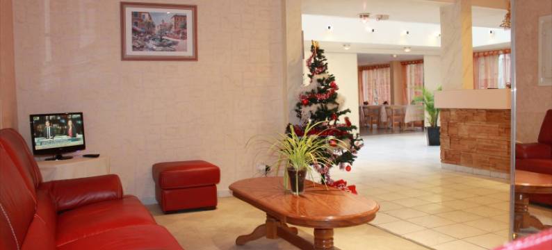 乐维雷治酒店(Hotel le Village)图片