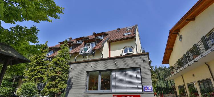 祖姆奥赫森餐厅-酒店(Hotel-Restaurant Zum Ochsen)图片