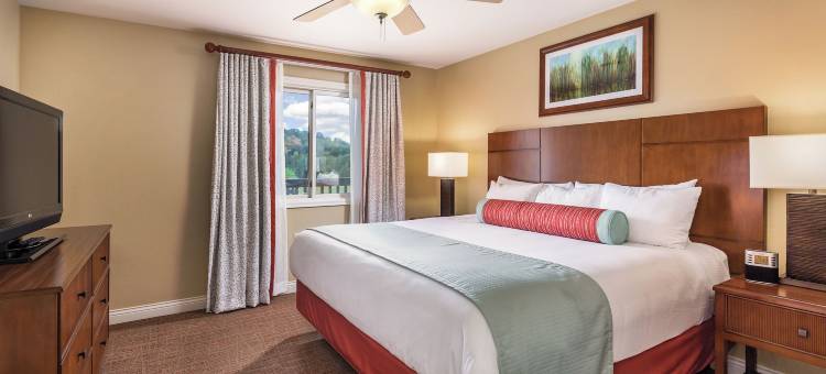 塔玛拉克温德姆度假会(Club Wyndham Tamarack)图片