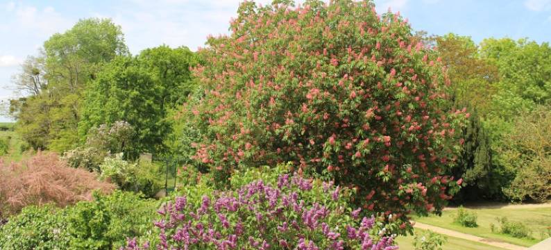瓦莱尔住宿加早餐旅馆(Ferme de la Vallière)图片