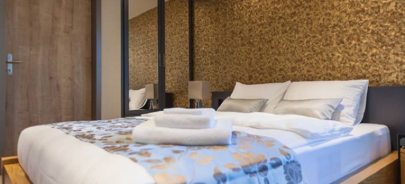 温特图尔广场酒店(Plaza Hotel Winterthur)图片