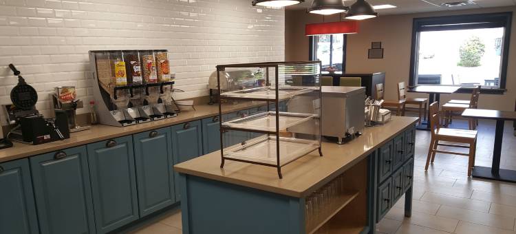 丽笙乡村套房酒店-乔治亚洲萨凡纳中城(Country Inn & Suites by Radisson, Savannah Midtown, GA)图片