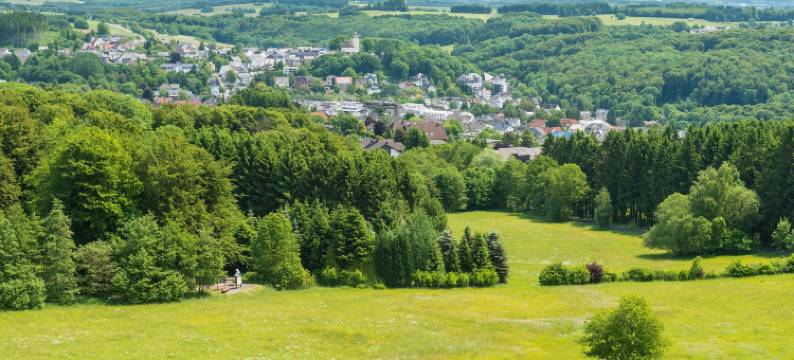 城市景观度假屋(Ferienhaus Stadtblick)图片
