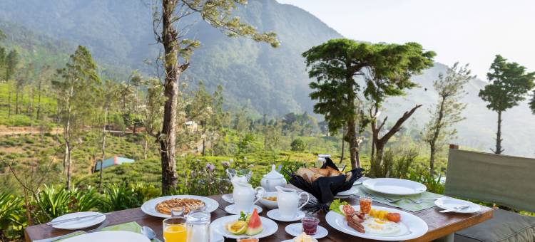 茶叶体验工厂酒店(Tea and Experience Factory - Thema Collection)图片