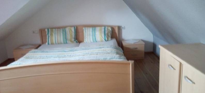 弗瑞恩沃纳拉吉埃特塔普酒店(Alter Topf)图片