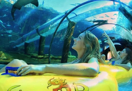 Rok PlazaHotel Overview